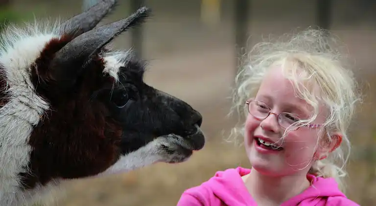 Holiday home in De Bult