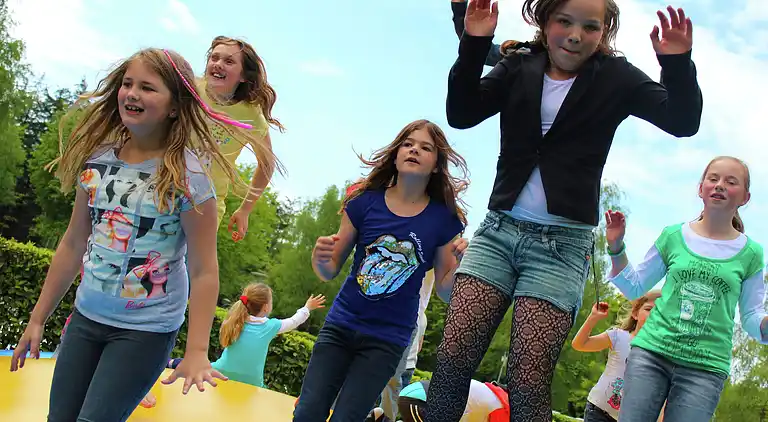 Holiday home in De Bult