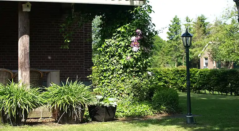 Farm house in Wapserveen