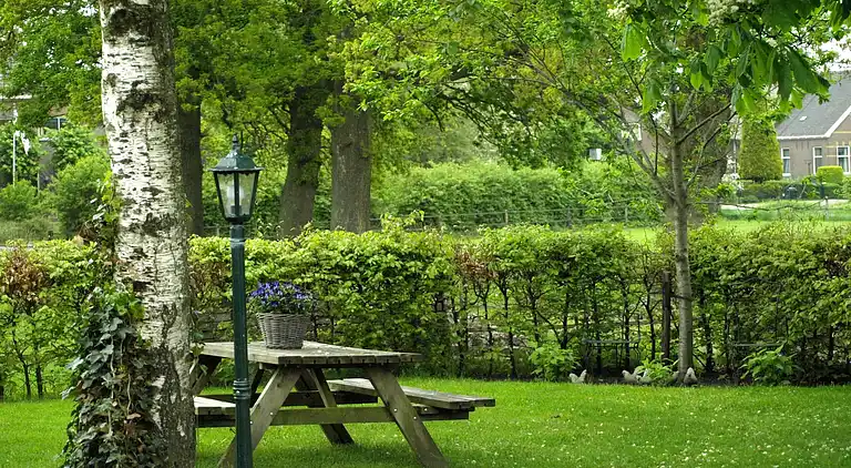 Farm house in Wapserveen