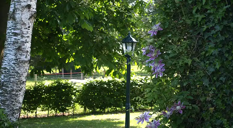 Farm house in Wapserveen