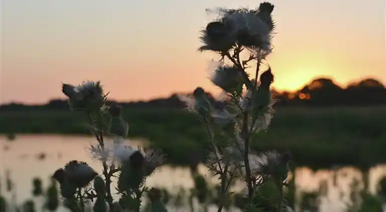 Holiday home in Giethoorn