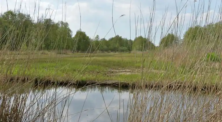 Holiday home in Giethoorn
