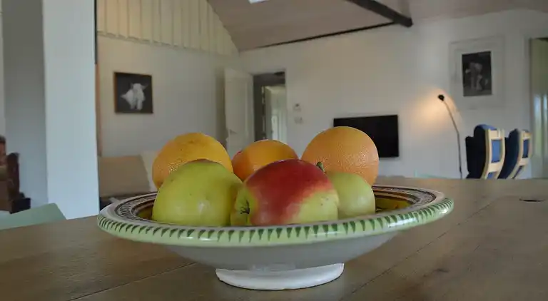 Farm house in Giethoorn