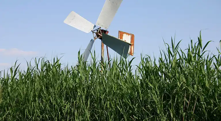 Semesterbostad i Paasloo