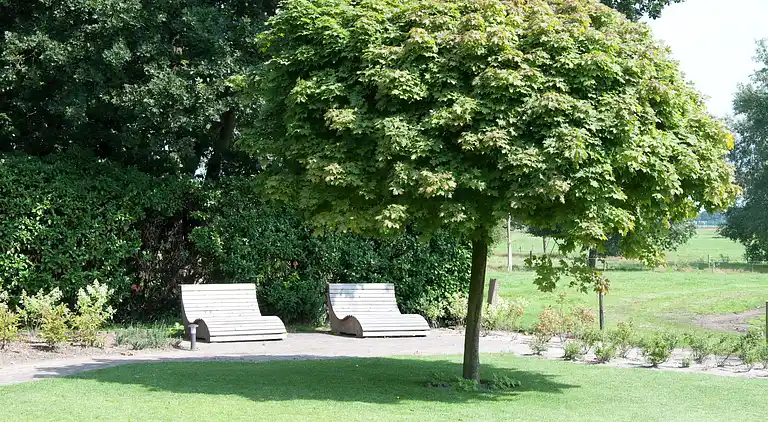 Manor house in Nijensleek