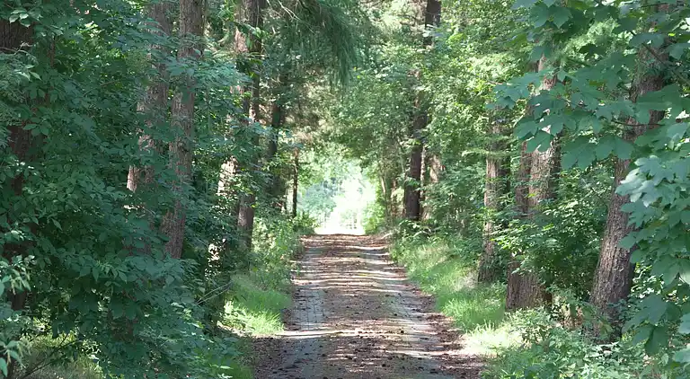 Manor house in Nijensleek