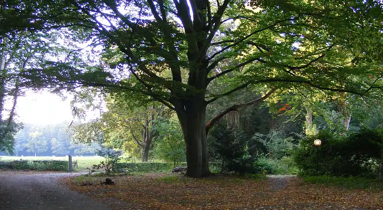 Manor house in Nijensleek