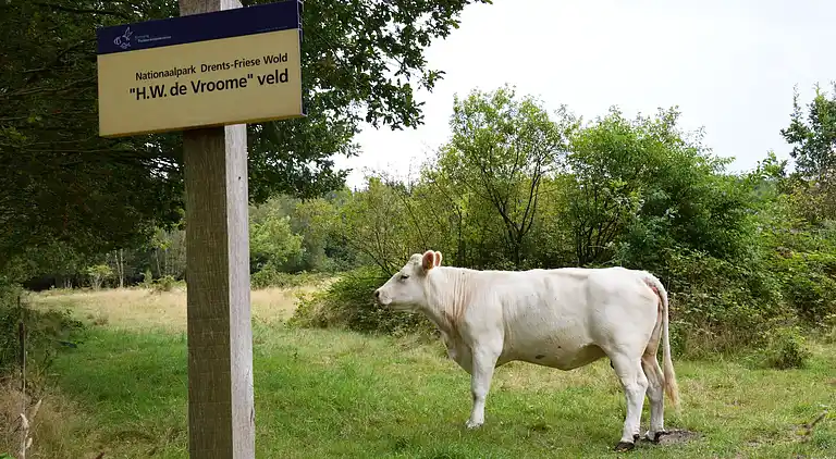 Manor house in Nijensleek