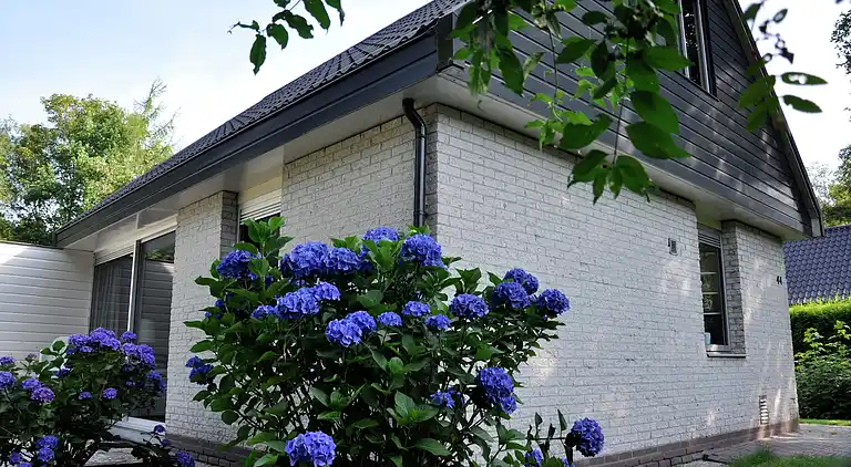 Holiday home in Noordwolde