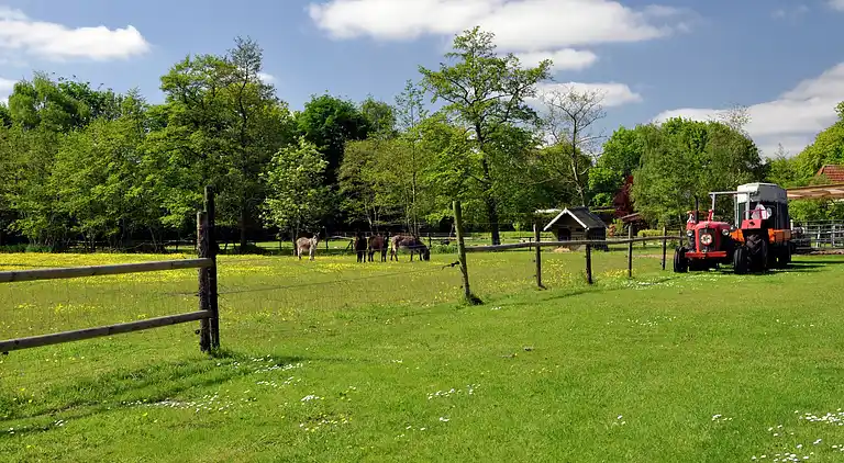 Holiday home in Noordwolde