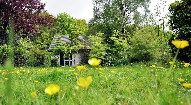 Sommerhus i Noordwolde