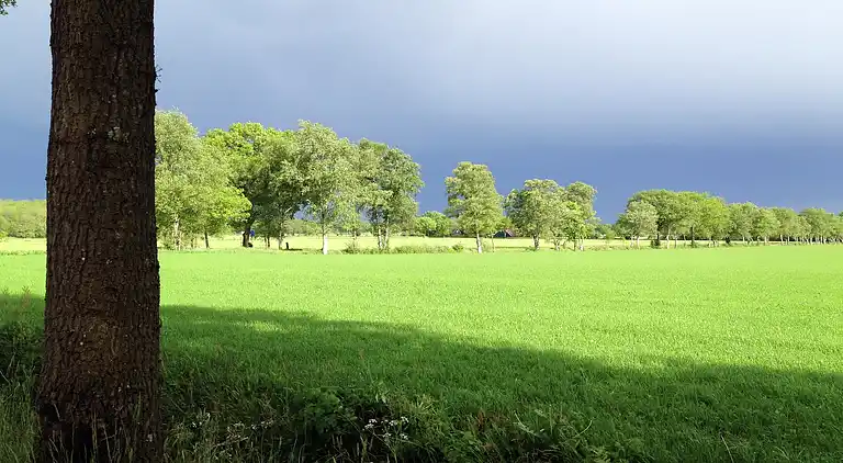 Sommerhus i Noordwolde