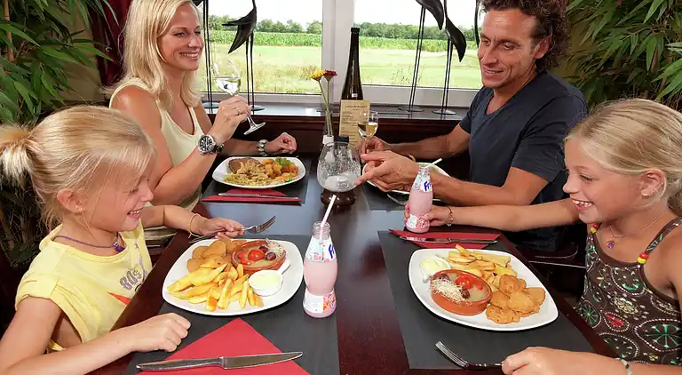 Manor house in Appelscha