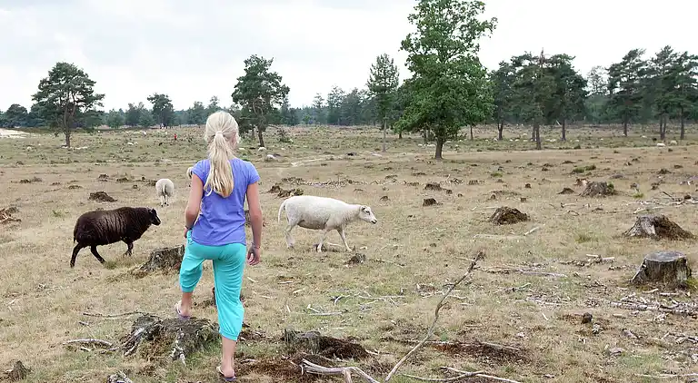 Manor house in Appelscha