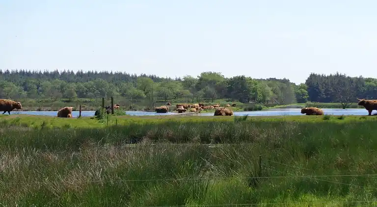 Gårdshus i Fochteloo