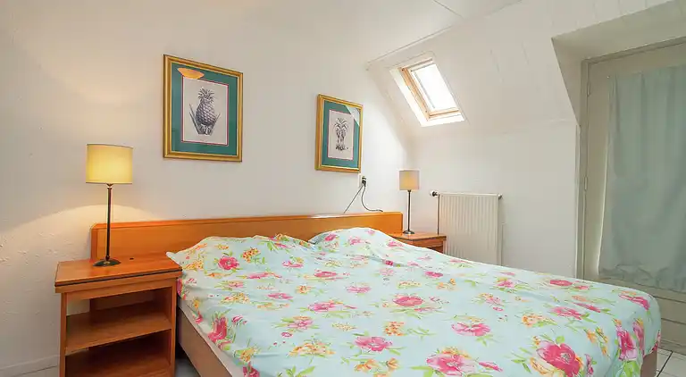 Farm house in Waskemeer