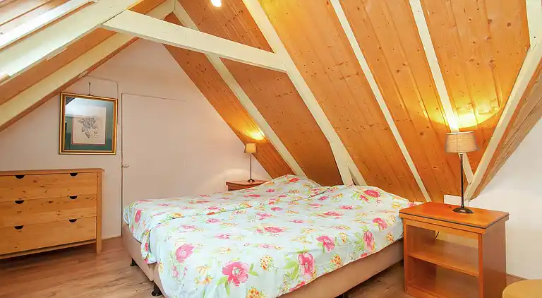 Farm house in Waskemeer