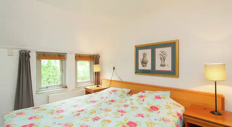 Farm house in Waskemeer