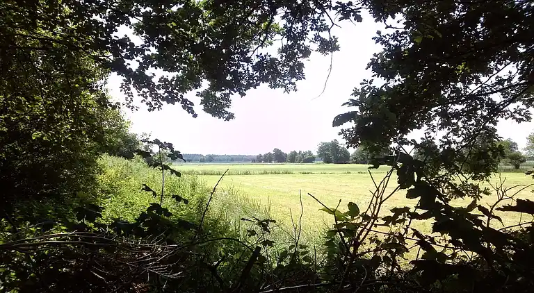 Farm house in Waskemeer
