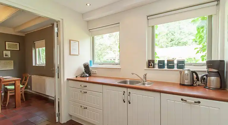 Farm house in Appelscha