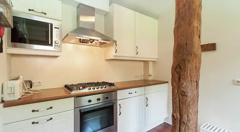 Farm house in Appelscha