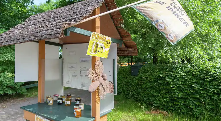 Farm house in Appelscha