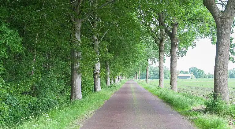 Farm house in Appelscha
