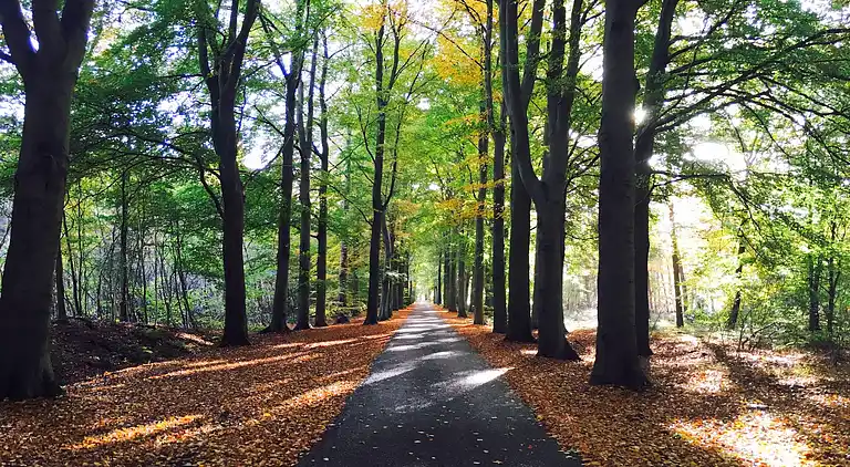 Farm house in Appelscha