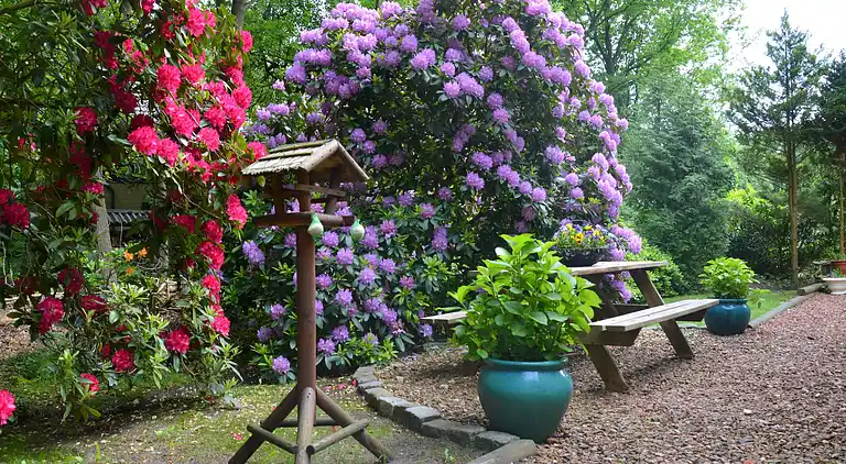 Casa vacanze in Wateren