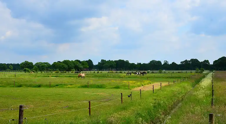 Casa vacanze in Wateren