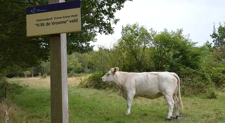 Casa vacanze in Wateren