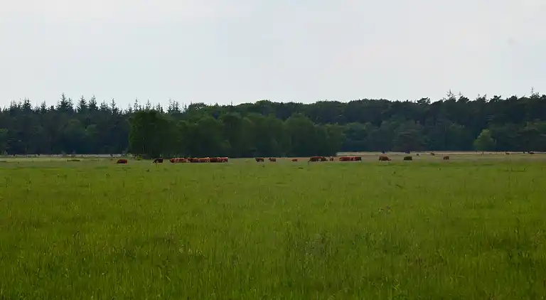 Casa vacanze in Wateren