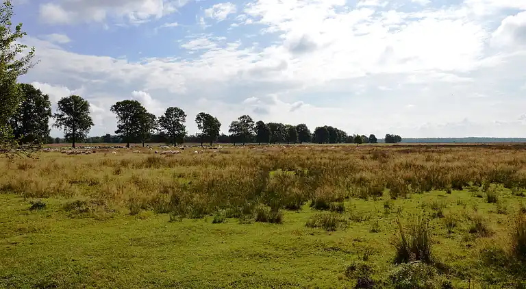 Holiday home in Appelscha