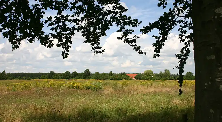 Bondgård i Appelscha