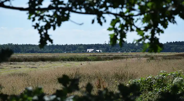 Bondgård i Appelscha