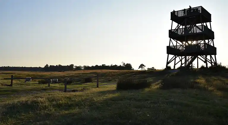 Bondgård i Appelscha