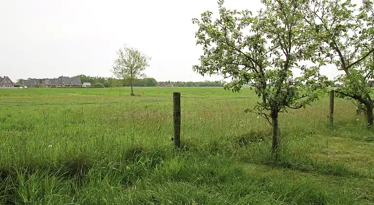 Semesterbostad i Scharsterbrug