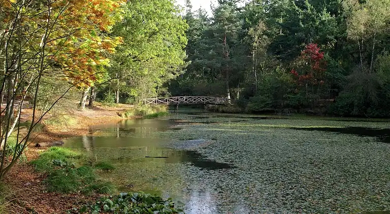 Holiday home in Oudemirdum