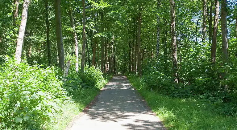 Holiday home in Oudemirdum