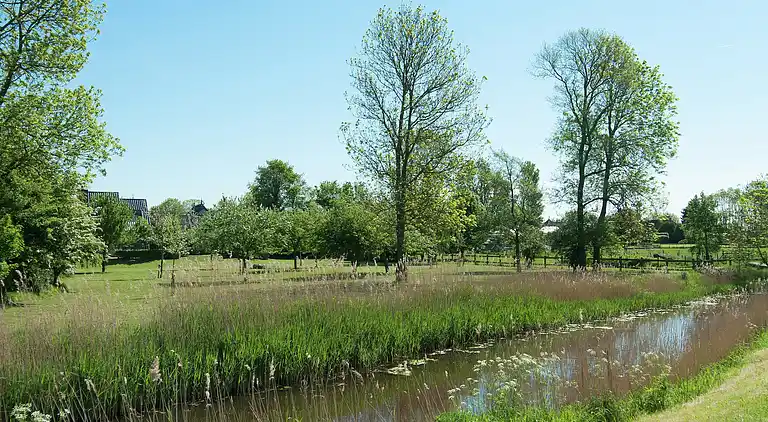 Holiday home in Warns