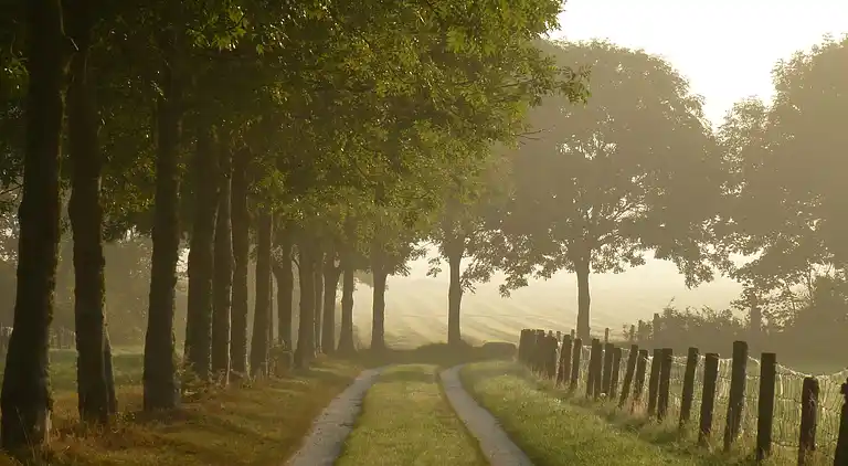 Holiday home in Warns