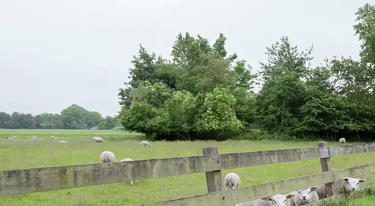 Farm house in Molkwerum