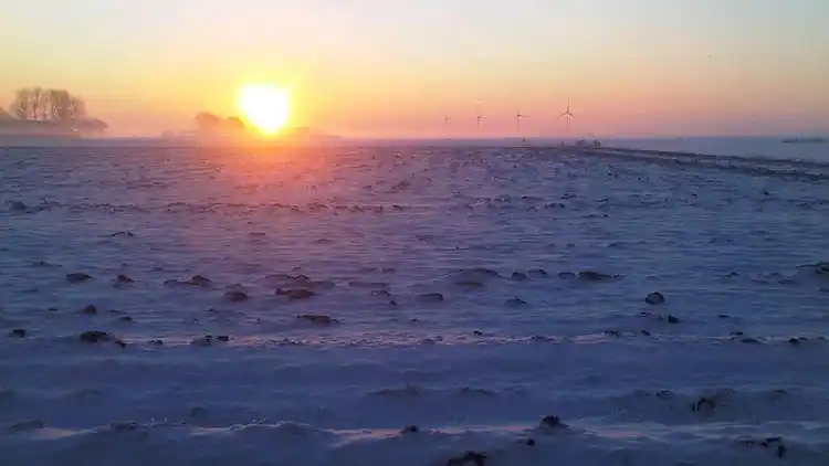 Farm house in Pingjum