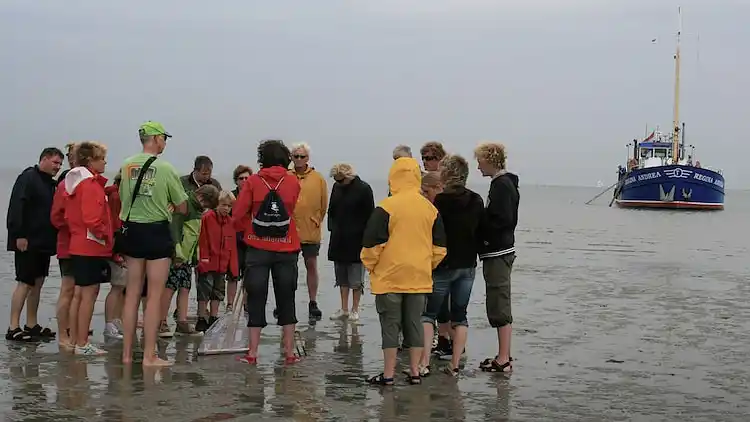 Farm house in Pingjum