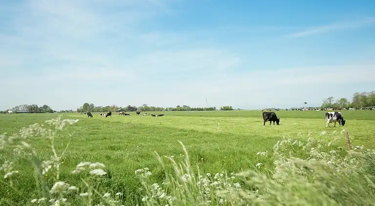 Semesterbostad i Easterlittens