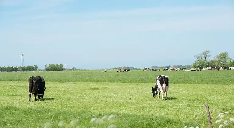 Semesterbostad i Easterlittens