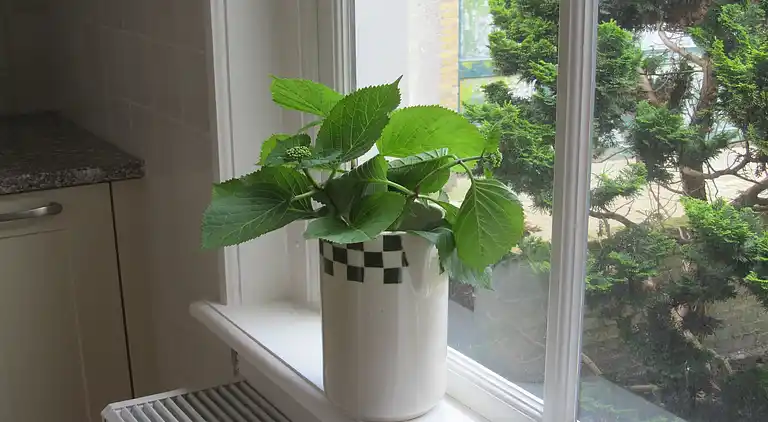 Holiday home in Harlingen