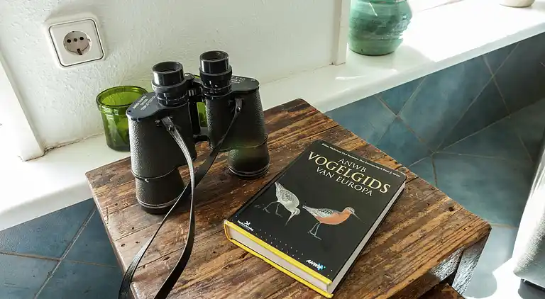 Semesterbostad i Moddergat