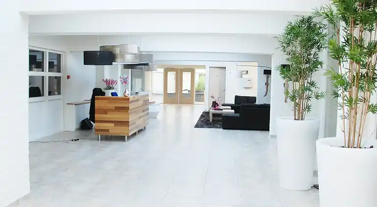 Apartment in Schiermonnikoog